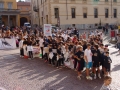 Bra, Sport in Piazza 2014