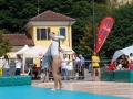 Bra, Sport in Piazza 2014