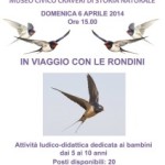 Bra: bimbi al museo, in viaggio con le rondini