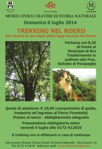 Trekking-Faggio-2014