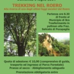 Bra: trekking lungo il sentiero del grande faggio