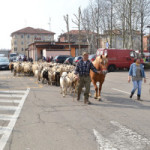 Bra, migliaia di presenze nel week end di pasqua